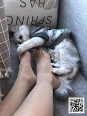 [Jiaye SJA] Vol.013 Le point de vue du meilleur ami de Jiaye "Meow"