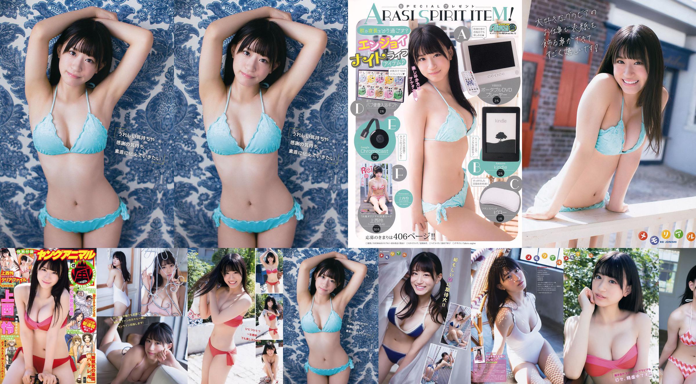 Rei Jonishi [Young Animal Arashi] Arashi Numéro spécial 2017 Magazine photo n ° 12 No.c8e2ea Page 1