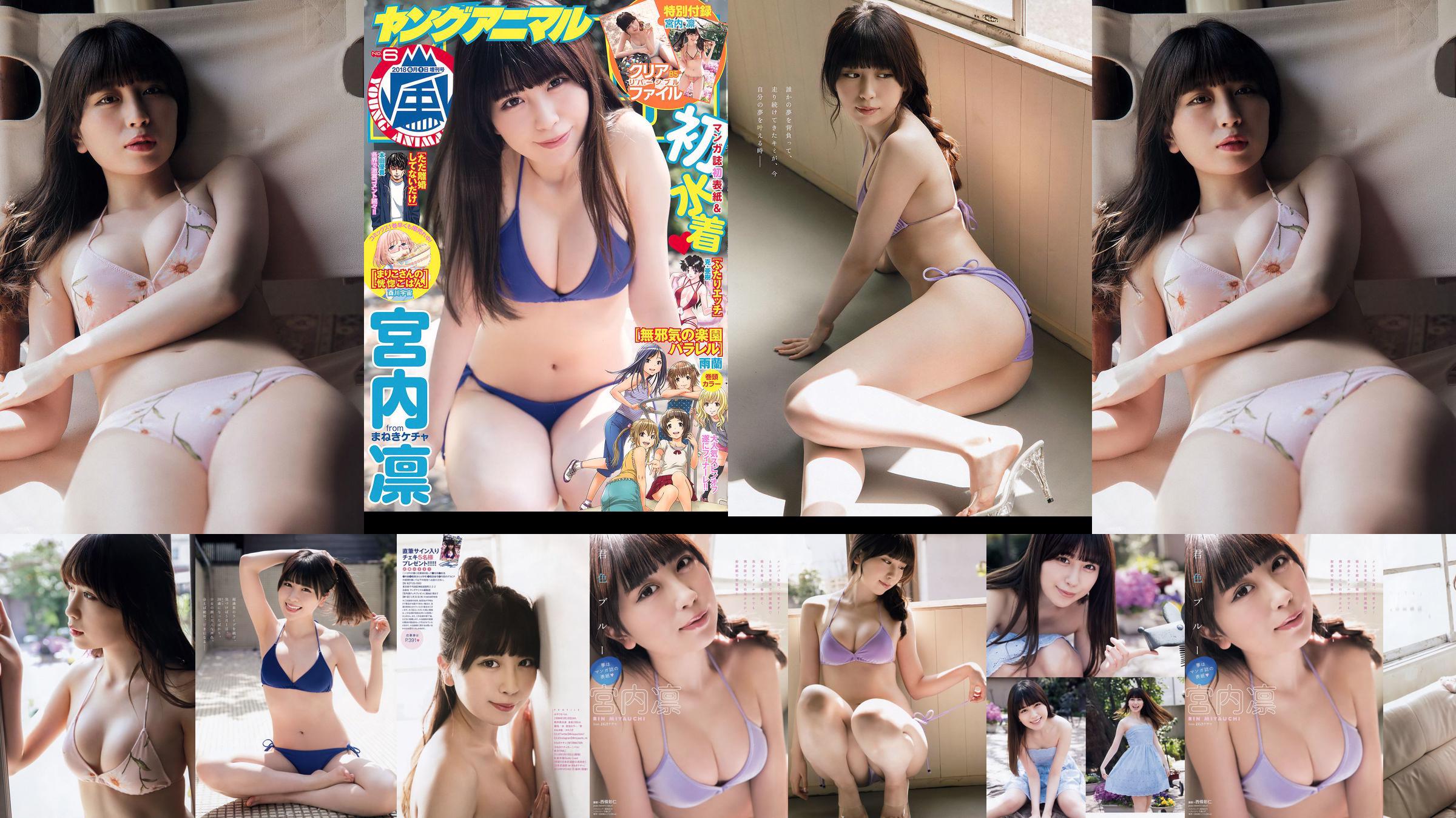 Rin Miyauchi [Young Animal Arashi] Arashi Special Issue 2018 No.06 Photo Magazine No.8a9f93 หน้า 1