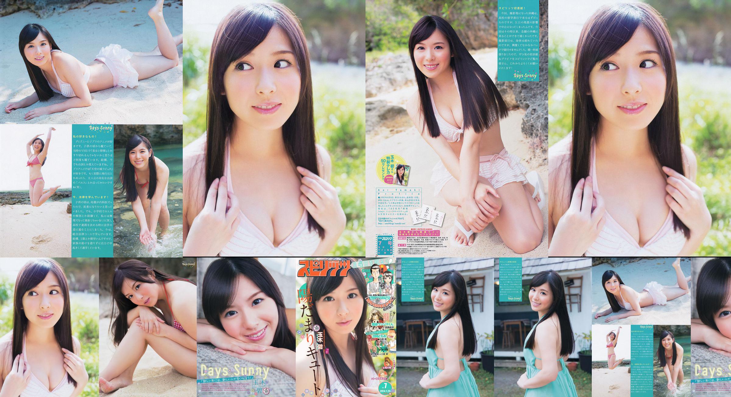 [Wöchentliche große Comic-Geister] Tamakibi 2014 No.07 Photo Magazine No.dd2922 Seite 1